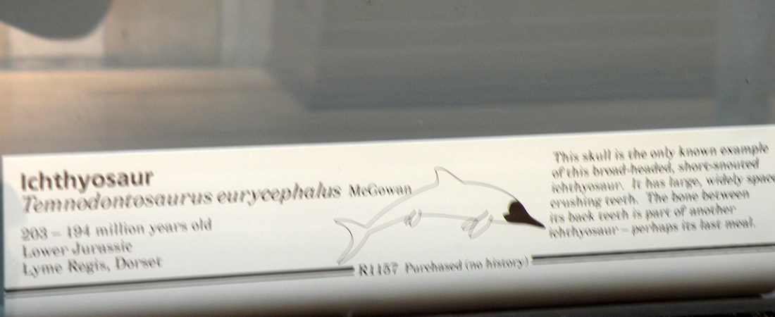 L''ultima preda del mostro